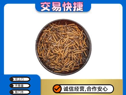 张北县回收散虫草